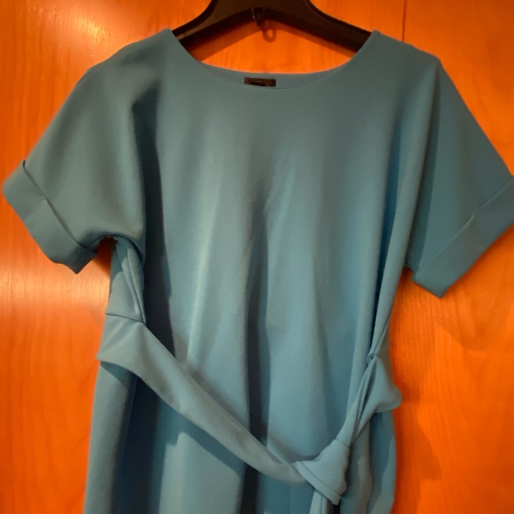 Turquoise shirt. Pet medium